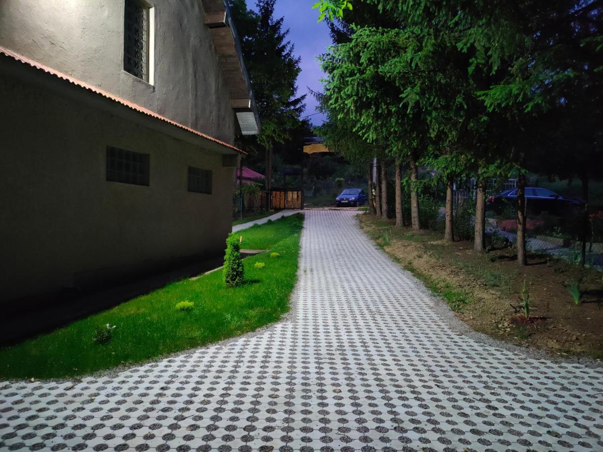 Vila Jezerski Raj Borsko Jezero Exterior photo