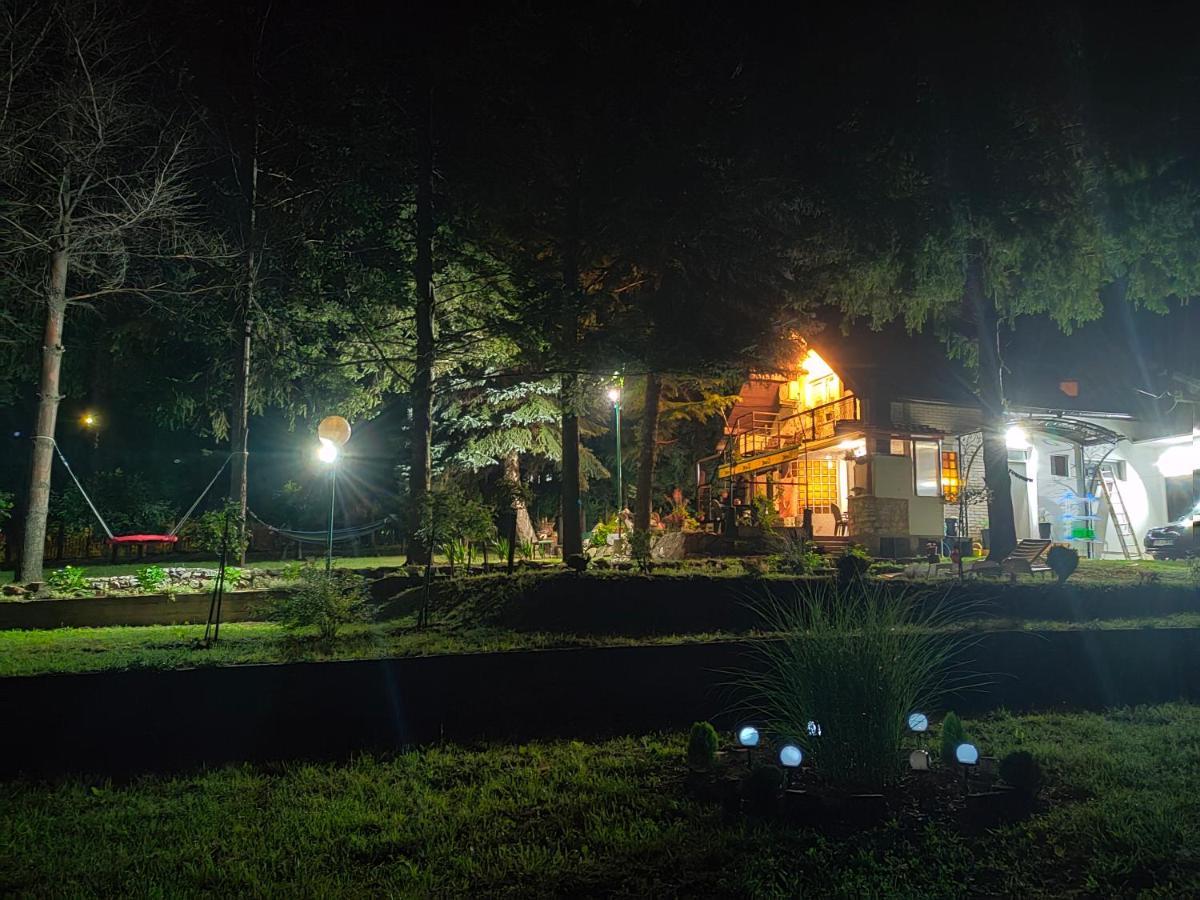 Vila Jezerski Raj Borsko Jezero Exterior photo
